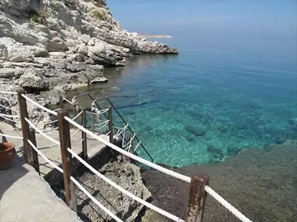 Nergis * Karaburun (Izmir)